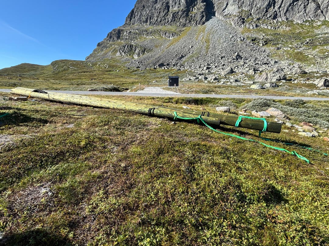 Long logs tied with green rope on grassy ground, with mountains and a road in the background.